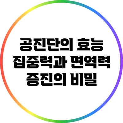 공진단의 효능: 집중력과 면역력 증진의 비밀