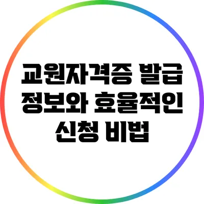 교원자격증 발급 정보와 효율적인 신청 비법