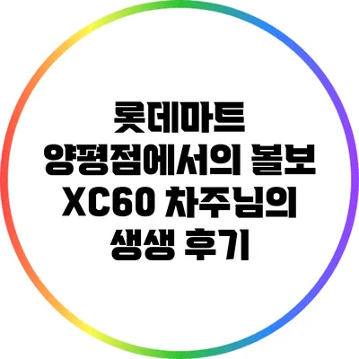 롯데마트 양평점에서의 볼보 XC60 차주님의 생생 후기