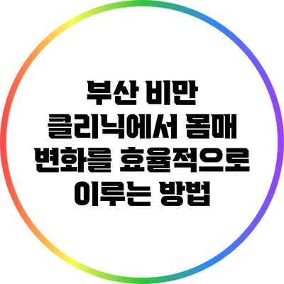 부산 비만 클리닉에서 몸매 변화를 효율적으로 이루는 방법