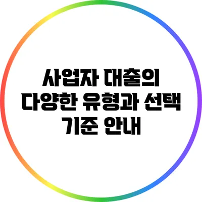 사업자 대출의 다양한 유형과 선택 기준 안내
