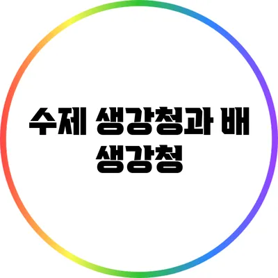 수제 생강청과 배 생강청