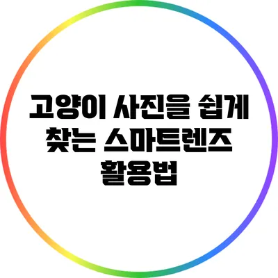 고양이 사진을 쉽게 찾는 스마트렌즈 활용법