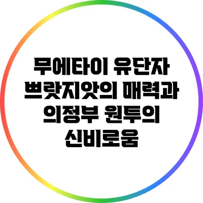 무에타이 유단자 쁘랏지앗의 매력과 의정부 원투의 신비로움