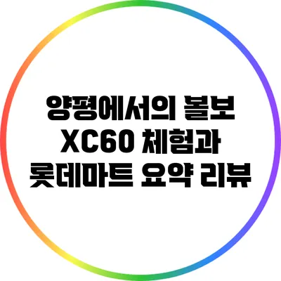 양평에서의 볼보 XC60 체험과 롯데마트 요약 리뷰