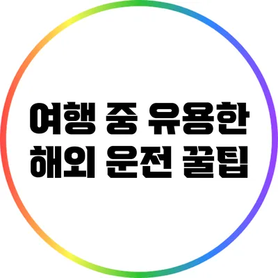 여행 중 유용한 해외 운전 꿀팁