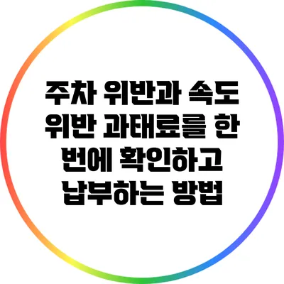 주차 위반과 속도 위반 과태료를 한 번에 확인하고 납부하는 방법