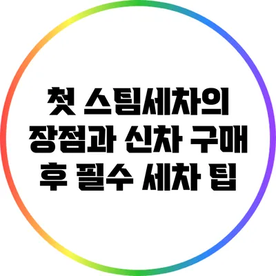 첫 스팀세차의 장점과 신차 구매 후 필수 세차 팁
