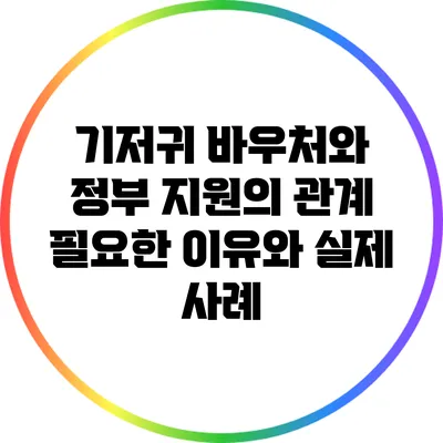 기저귀 바우처와 정부 지원의 관계: 필요한 이유와 실제 사례