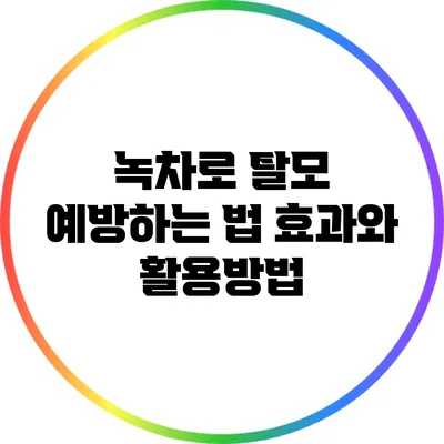 녹차로 탈모 예방하는 법: 효과와 활용방법