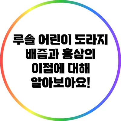 루솔 어린이 도라지 배즙과 홍삼의 이점에 대해 알아보아요!