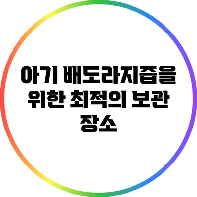 아기 배도라지즙을 위한 최적의 보관 장소