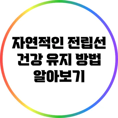 자연적인 전립선 건강 유지 방법 알아보기