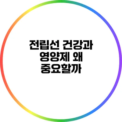 전립선 건강과 영양제: 왜 중요할까?