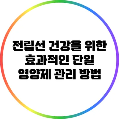 전립선 건강을 위한 효과적인 단일 영양제 관리 방법