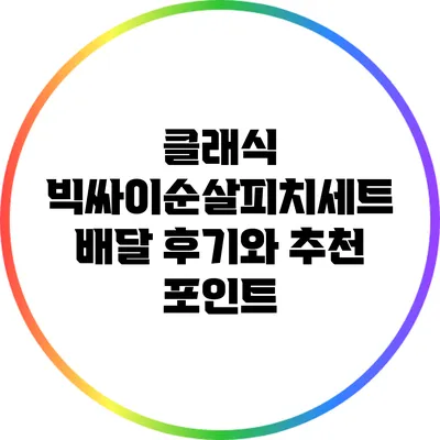 클래식 빅싸이순살피치세트 배달 후기와 추천 포인트