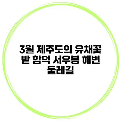 3월 제주도의 유채꽃 밭 함덕 서우봉 해변 둘레길