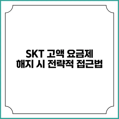 SKT 고액 요금제 해지 시 전략적 접근법