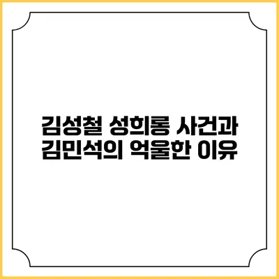 김성철 성희롱 사건과 김민석의 억울한 이유