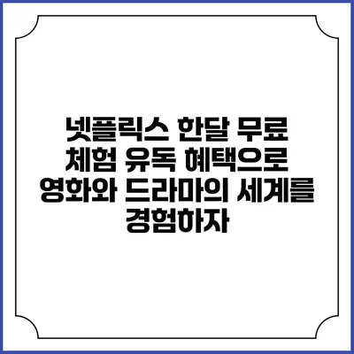 넷플릭스 한달 무료 체험: 유독 혜택으로 영화와 드라마의 세계를 경험하자