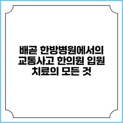 배곧 한방병원에서의 교통사고 한의원 입원 치료의 모든 것