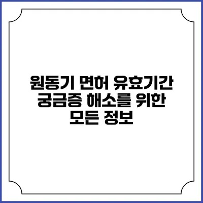 원동기 면허 유효기간: 궁금증 해소를 위한 모든 정보