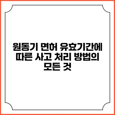 원동기 면허 유효기간에 따른 사고 처리 방법의 모든 것