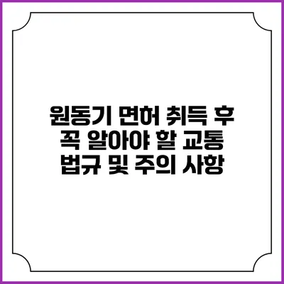 원동기 면허 취득 후 꼭 알아야 할 교통 법규 및 주의 사항