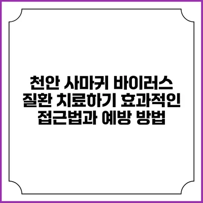 천안 사마귀 바이러스 질환 치료하기: 효과적인 접근법과 예방 방법