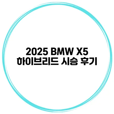 2025 BMW X5 하이브리드 시승 후기