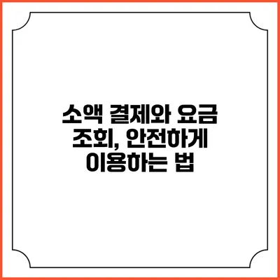 소액 결제와 요금 조회, 안전하게 이용하는 법