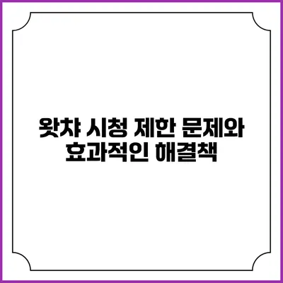 왓챠 시청 제한 문제와 효과적인 해결책