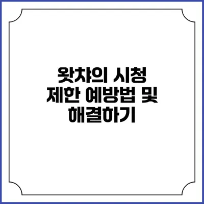 왓챠의 시청 제한 예방법 및 해결하기