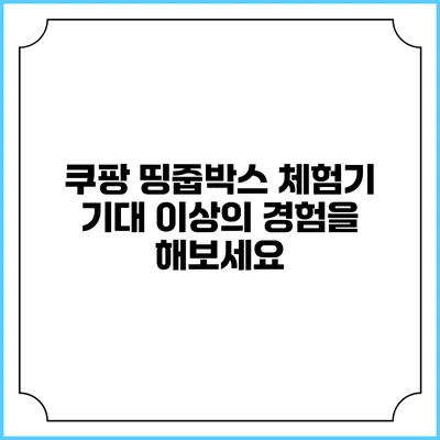 쿠팡 띵줍박스 체험기: 기대 이상의 경험을 해보세요