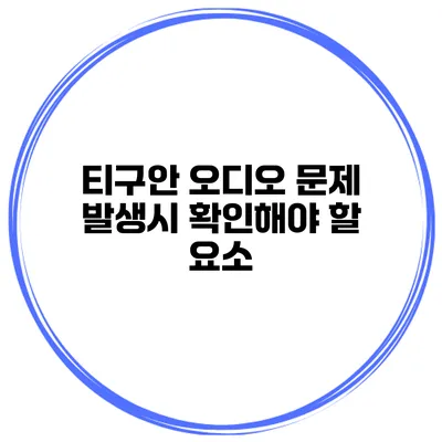 티구안 오디오 문제 발생시 확인해야 할 요소