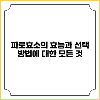 파로효소의 효능과 선택 방법에 대한 모든 것