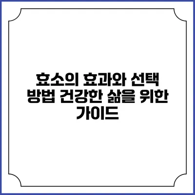 효소의 효과와 선택 방법: 건강한 삶을 위한 가이드